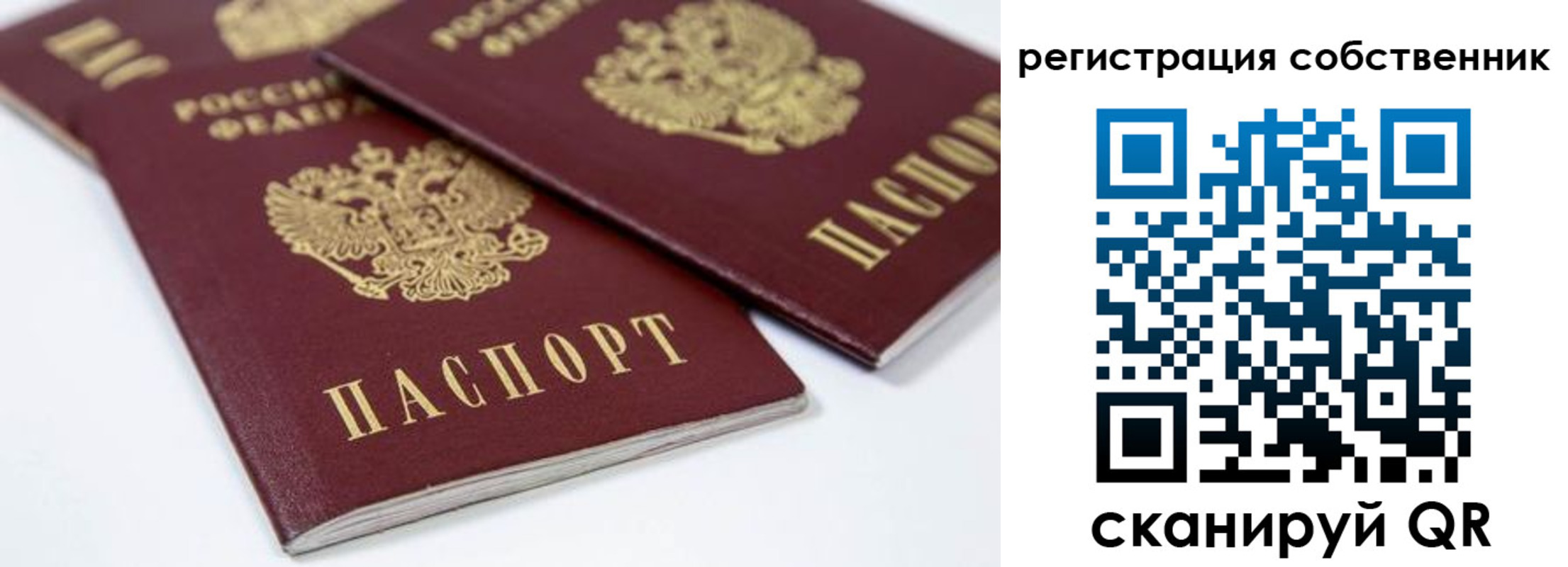 прописка для школы в Карабаново